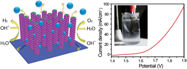 Graphical abstract: Myriophyllum-like hierarchical TiN@Ni3N nanowire arrays for bifunctional water splitting catalysts
