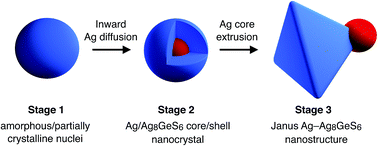 Graphical abstract: The formation mechanism of Janus nanostructures in one-pot reactions: the case of Ag–Ag8GeS6