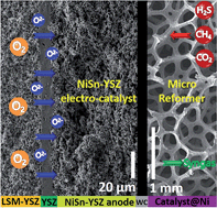 Graphical abstract: Biogas to syngas: flexible on-cell micro-reformer and NiSn bimetallic nanoparticle implanted solid oxide fuel cells for efficient energy conversion