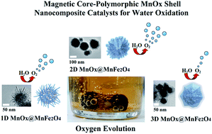 Graphical abstract: Water oxidation catalysis by using nano-manganese ferrite supported 1D-(tunnelled), 2D-(layered) and 3D-(spinel) manganese oxides