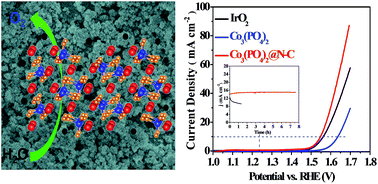 Graphical abstract: Cobalt phosphate nanoparticles decorated with nitrogen-doped carbon layers as highly active and stable electrocatalysts for the oxygen evolution reaction