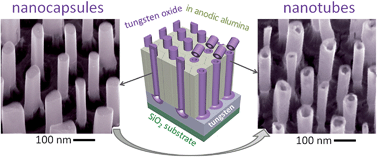 Graphical abstract: Metal-substrate-supported tungsten-oxide nanoarrays via porous-alumina-assisted anodization: from nanocolumns to nanocapsules and nanotubes