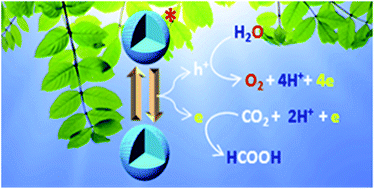 Graphical abstract: Photochemical reduction of carbon dioxide coupled with water oxidation using various soft-oxometalate (SOM) based catalytic systems