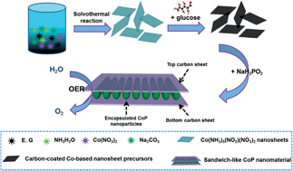 Graphical abstract: Sandwich-like CoP/C nanocomposites as efficient and stable oxygen evolution catalysts