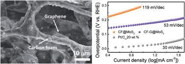Graphical abstract: Three-dimensional carbon foam/N-doped graphene@MoS2 hybrid nanostructures as effective electrocatalysts for the hydrogen evolution reaction