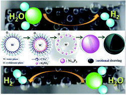 Graphical abstract: Monocrystalline Ni12P5 hollow spheres with ultrahigh specific surface areas as advanced electrocatalysts for the hydrogen evolution reaction