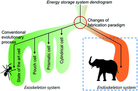 Graphical abstract: Energy storage systems based on endoskeleton structuring