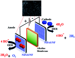 Graphical abstract: Inexpensive electrochemical synthesis of nickel iron sulphides on nickel foam: super active and ultra-durable electrocatalysts for alkaline electrolyte membrane water electrolysis