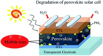 Graphical abstract: The detrimental effect of excess mobile ions in planar CH3NH3PbI3 perovskite solar cells