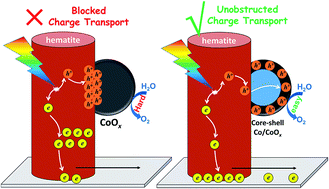 Graphical abstract: Fabrication of metallic charge transfer channel between photoanode Ti/Fe2O3 and cocatalyst CoOx: an effective strategy for promoting photoelectrochemical water oxidation