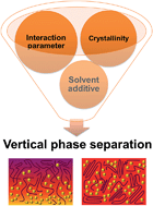 Graphical abstract: Critical factors governing vertical phase separation in polymer–PCBM blend films for organic solar cells