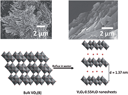 Graphical abstract: A one-step water based strategy for synthesizing hydrated vanadium pentoxide nanosheets from VO2(B) as free-standing electrodes for lithium battery applications