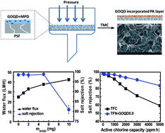 Graphical abstract: Pressure-assisted preparation of graphene oxide quantum dot-incorporated reverse osmosis membranes: antifouling and chlorine resistance potentials