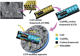 Graphical abstract: Modified separators coated with a Ca(OH)2–carbon framework derived from crab shells for lithium–sulfur batteries