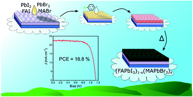 Graphical abstract: Ambient air-processed mixed-ion perovskites for high-efficiency solar cells