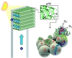 Graphical abstract: Biohybrid architectures for efficient light-to-current conversion based on photosystem I within scalable 3D mesoporous electrodes