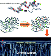 Graphical abstract: Plasticization resistant crosslinked polyurethane gas separation membranes