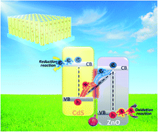 Graphical abstract: Vertically aligned ZnO–Au@CdS core–shell nanorod arrays as an all-solid-state vectorial Z-scheme system for photocatalytic application