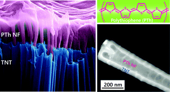Graphical abstract: Controlled growth of polythiophene nanofibers in TiO2 nanotube arrays for supercapacitor applications