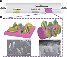 Graphical abstract: Vertically aligned two-dimensional SnS2 nanosheets with a strong photon capturing capability for efficient photoelectrochemical water splitting