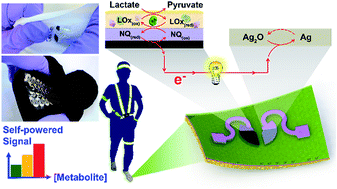 Graphical abstract: Stretchable biofuel cells as wearable textile-based self-powered sensors