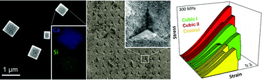 Graphical abstract: Morphogenesis of cement hydrate