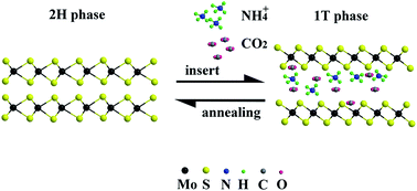 Graphical abstract: Phase engineering of a multiphasic 1T/2H MoS2 catalyst for highly efficient hydrogen evolution