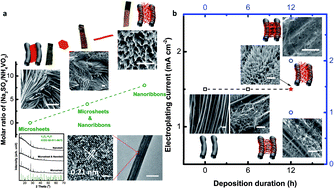 Graphical abstract: Biomimicry of Cuscuta electrode design endows hybrid capacitor with ultrahigh energy density exceeding 2 mW h cm−2 at a power delivery of 25 mW cm−2