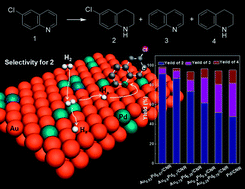 Graphical abstract: Tuning chemical compositions of bimetallic AuPd catalysts for selective catalytic hydrogenation of halogenated quinolines