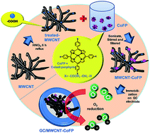 Graphical abstract: Co(ii)-porphyrin-decorated carbon nanotubes as catalysts for oxygen reduction reactions: an approach for fuel cell improvement