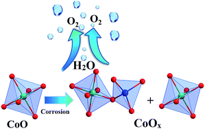 Graphical abstract: A facile corrosion approach to the synthesis of highly active CoOx water oxidation catalysts