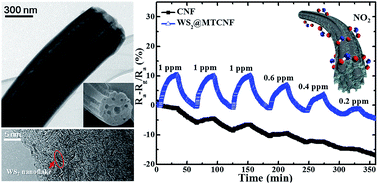 Graphical abstract: 2D WS2-edge functionalized multi-channel carbon nanofibers: effect of WS2 edge-abundant structure on room temperature NO2 sensing