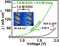 Graphical abstract: High-performance urea electrolysis towards less energy-intensive electrochemical hydrogen production using a bifunctional catalyst electrode