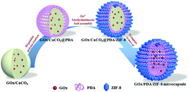 Graphical abstract: Preparation of graphene nano-sheet bonded PDA/MOF microcapsules with immobilized glucose oxidase as a mimetic multi-enzyme system for electrochemical sensing of glucose