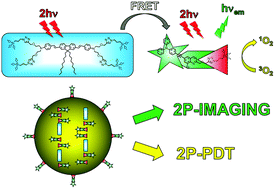 Graphical abstract: Fluorescent periodic mesoporous organosilica nanoparticles dual-functionalized via click chemistry for two-photon photodynamic therapy in cells
