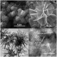 Graphical abstract: Novel hierarchical NiO nanoflowers exhibiting intrinsic superoxide dismutase-like activity