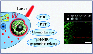 Graphical abstract: A designed synthesis of multifunctional Fe3O4@carbon/zinc phosphate nanoparticles for simultaneous imaging and synergic chemo-photothermal cancer therapy