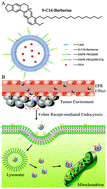 Graphical abstract: Development of a novel berberine-mediated mitochondria-targeting nano-platform for drug-resistant cancer therapy