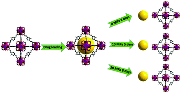 Graphical abstract: Pressure controlled drug release in a Zr-cluster-based MOF