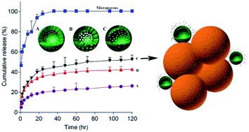Graphical abstract: Hollow mesoporous carbon nanocarriers for vancomycin delivery: understanding the structure–release relationship for prolonged antibacterial performance