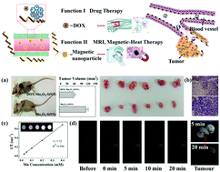 Graphical abstract: An emerging dual collaborative strategy for high-performance tumor therapy with mesoporous silica nanotubes loaded with Mn3O4