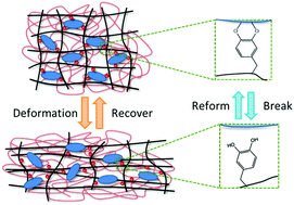 Graphical abstract: Recovery property of double-network hydrogel containing a mussel-inspired adhesive moiety and nano-silicate