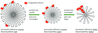 Graphical abstract: Blood clot initiation by mesoporous silica nanoparticles: dependence on pore size or particle size?