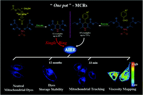 Graphical abstract: 1,4-Dihydropyridines: discovery of minimal AIEEgens and their mitochondrial imaging applications