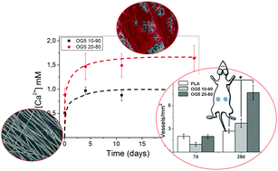 Graphical abstract: A novel hybrid nanofibrous strategy to target progenitor cells for cost-effective in situ angiogenesis