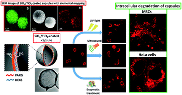Graphical abstract: Triple-responsive inorganic–organic hybrid microcapsules as a biocompatible smart platform for the delivery of small molecules