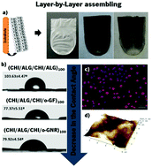 Graphical abstract: High performance free-standing films by layer-by-layer assembly of graphene flakes and ribbons with natural polymers