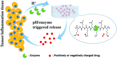 Graphical abstract: Development of ionic strength/pH/enzyme triple-responsive zwitterionic hydrogel of the mixed l-glutamic acid and l-lysine polypeptide for site-specific drug delivery