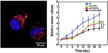 Graphical abstract: A multifunctional polyethylenimine-based nanoplatform for targeted anticancer drug delivery to tumors in vivo