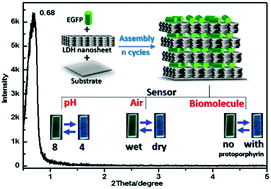 Graphical abstract: Enhanced green fluorescence protein/layered double hydroxide composite ultrathin films: bio-hybrid assembly and potential application as a fluorescent biosensor